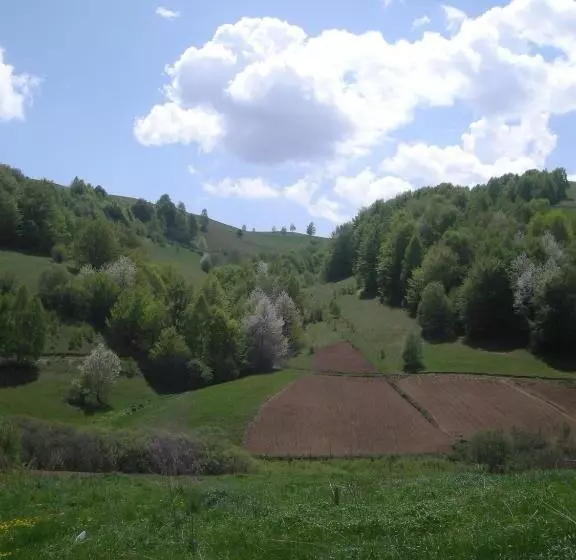 Majatalo Apartments And Rooms Vicko