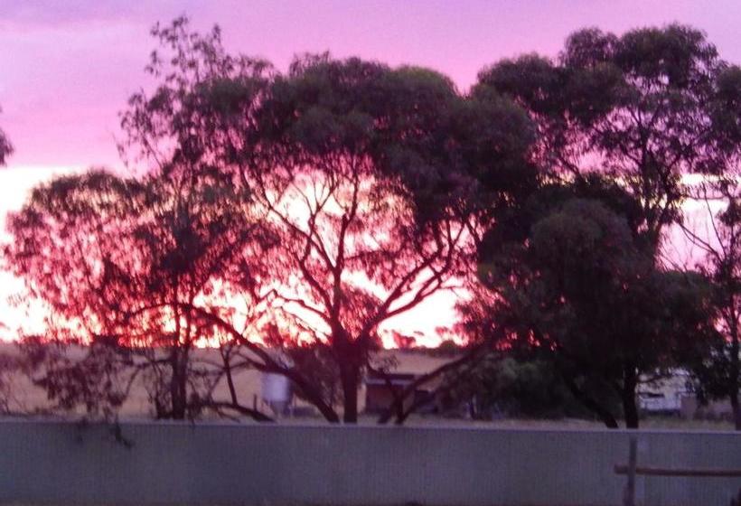 Wudinna Gawler Ranges Motel And Caravan Park