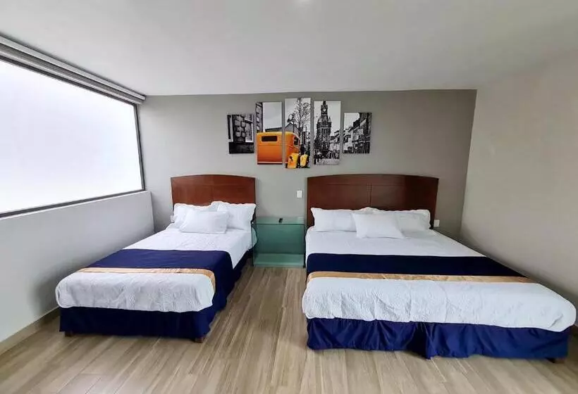 Casa Arandas Hotel   Suits