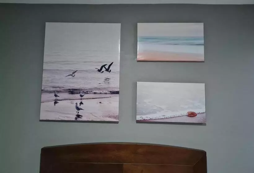 Casa Arandas Hotel   Suits