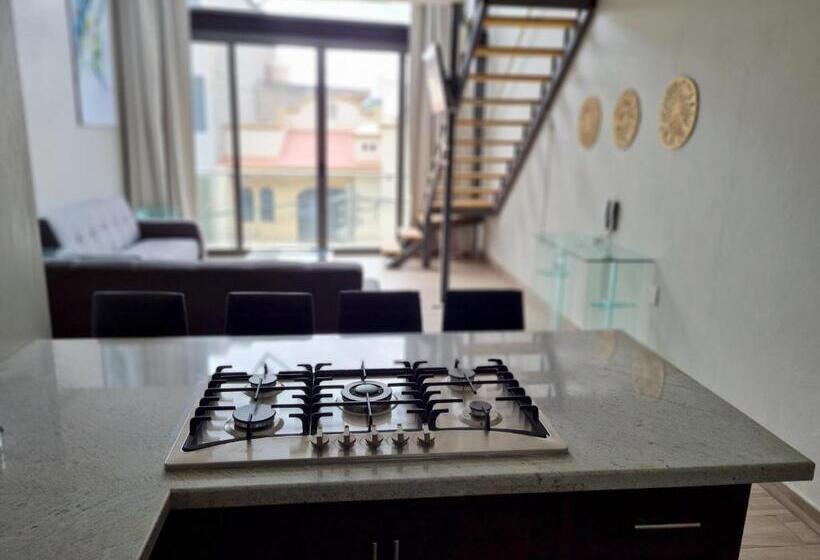 Casa Arandas Hotel   Suits