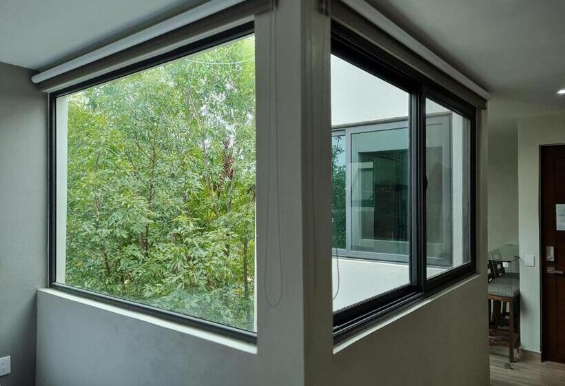 Casa Arandas Hotel   Suits