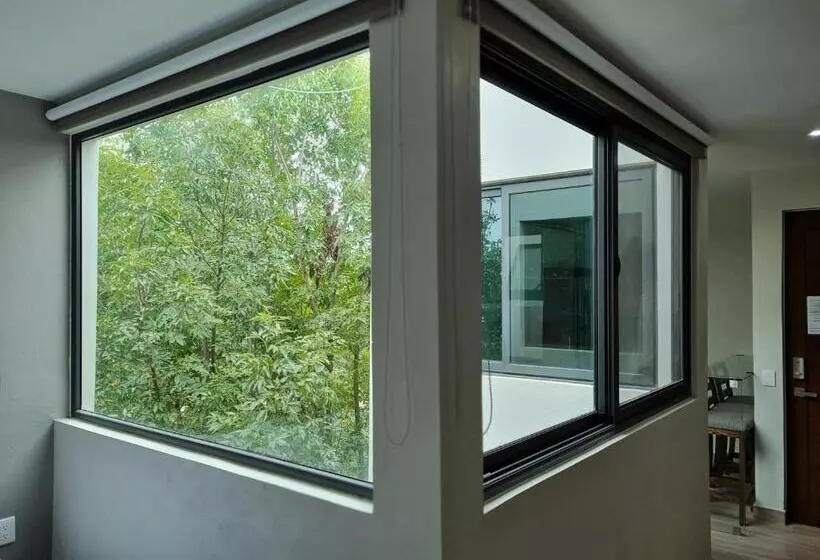 Casa Arandas Hotel   Suits