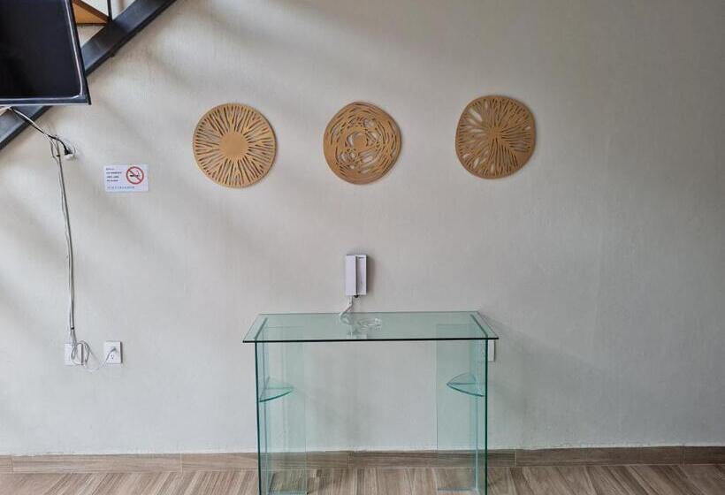 Casa Arandas Hotel   Suits