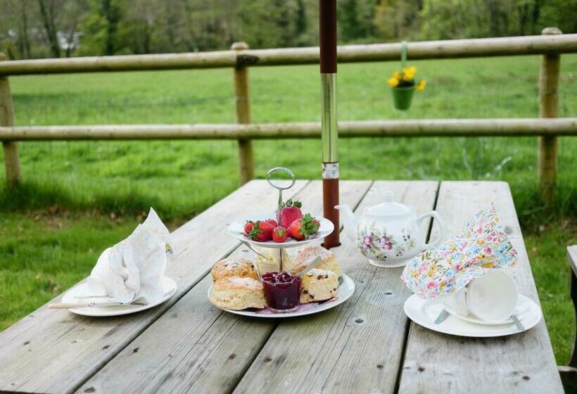 민박 The Bark House