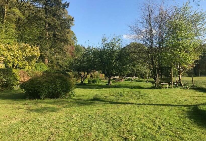 민박 The Bark House