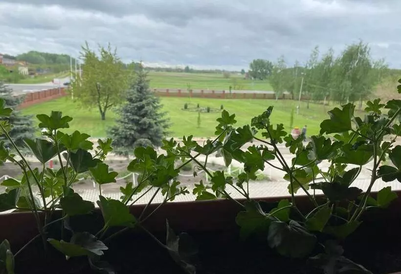 モーテル Muskátli Panzió és étterem