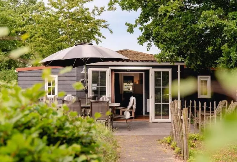 استراحتگاه Reggechalet 6 Persons Adjusted