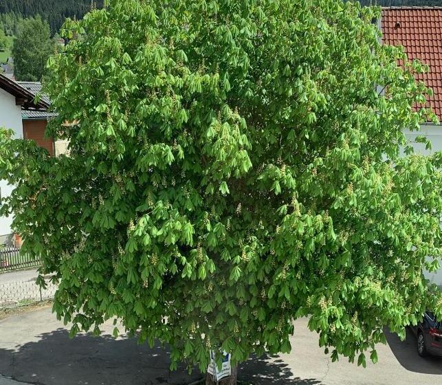 酒店 Landgasthof Zur Post