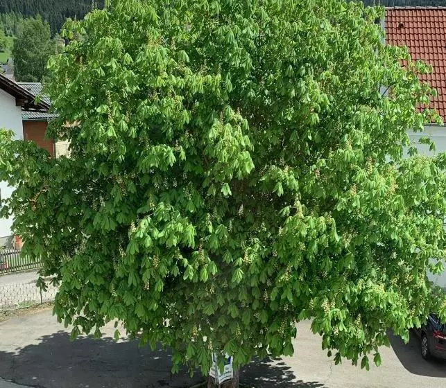 ホテル Landgasthof Zur Post