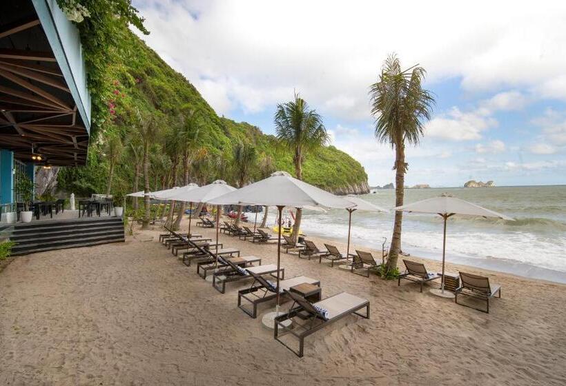 Flamingos Cat Ba Resort Apartment