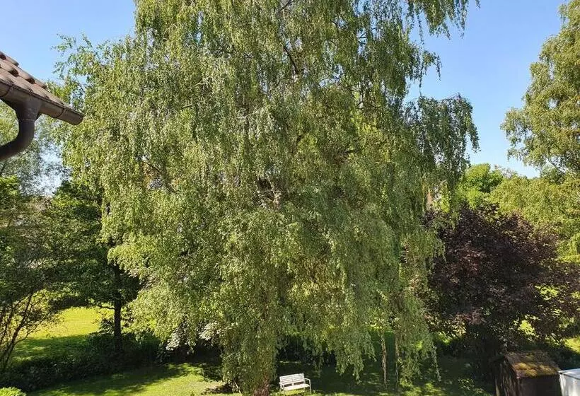 Hotelli Schönenberger Hof