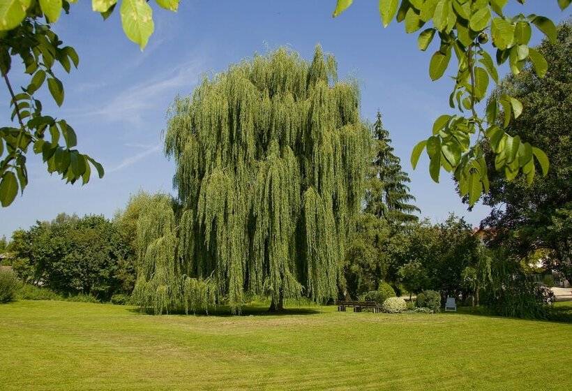 فندق Schönenberger Hof