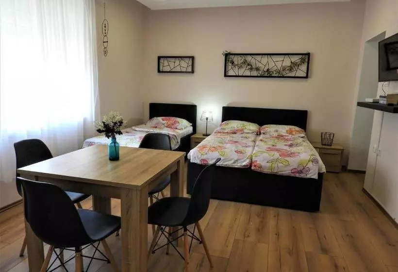 پانسیون Hana Apartmani
