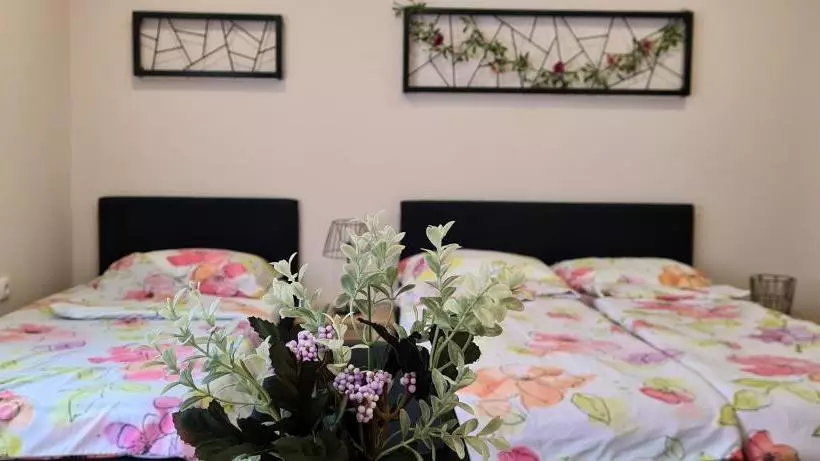 پانسیون Hana Apartmani