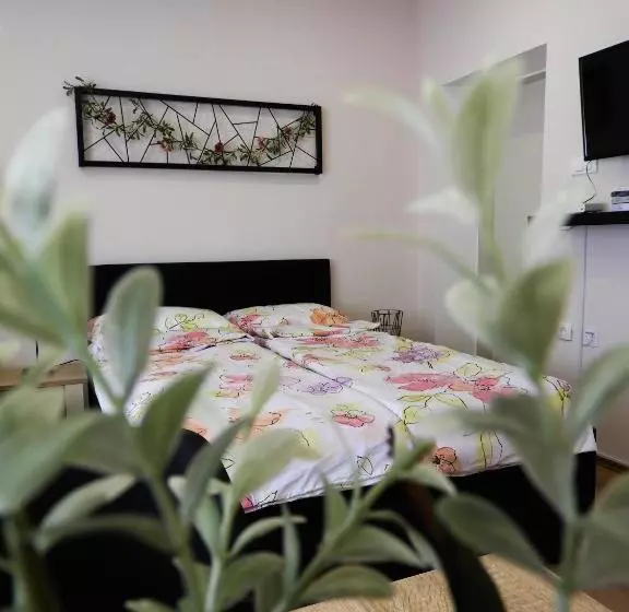 پانسیون Hana Apartmani
