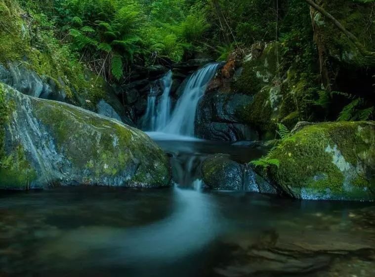 Отель De Arganil