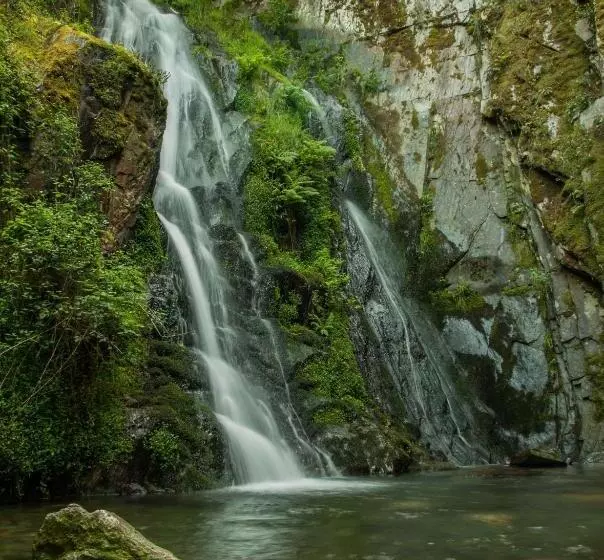 Отель De Arganil