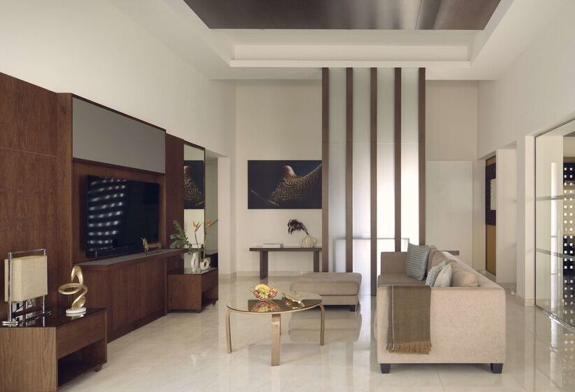 酒店 Meliá Desert Palm Member Of Meliá Collection