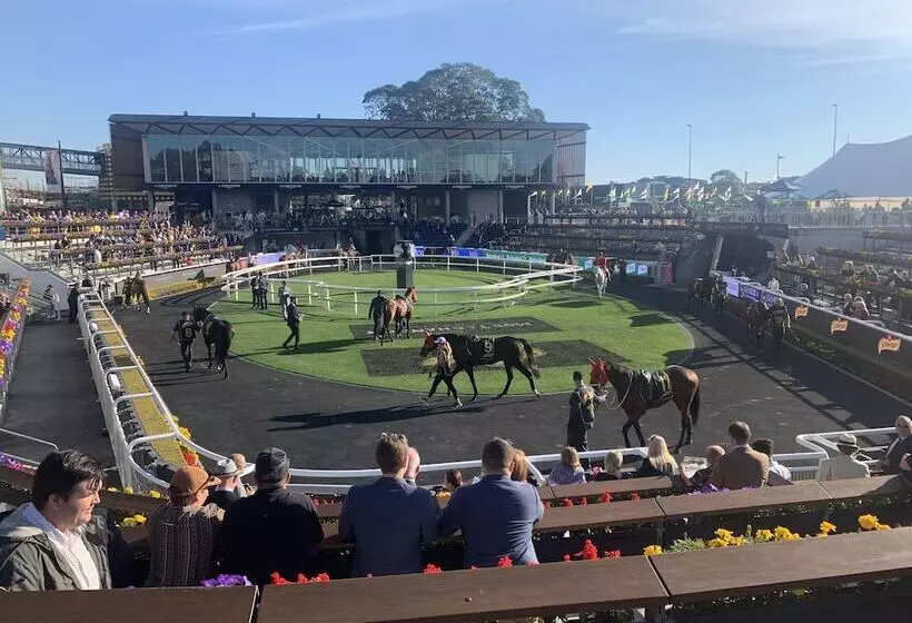 酒店 Perouse Randwick By Sydney Lodges