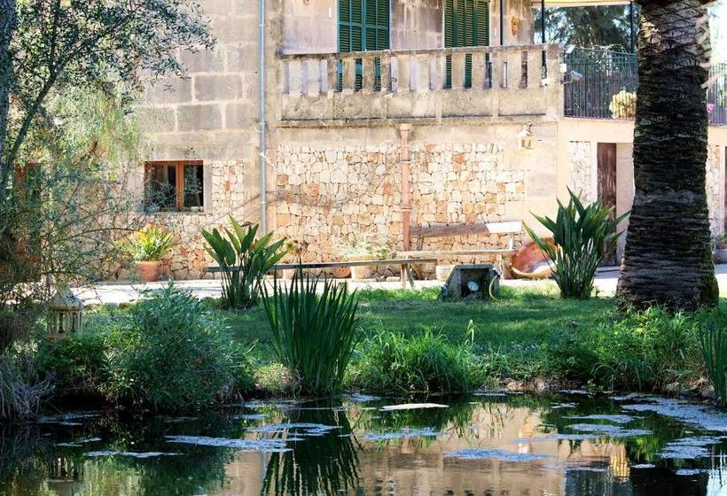 乡村酒店  Petit Hotel Es Figueral