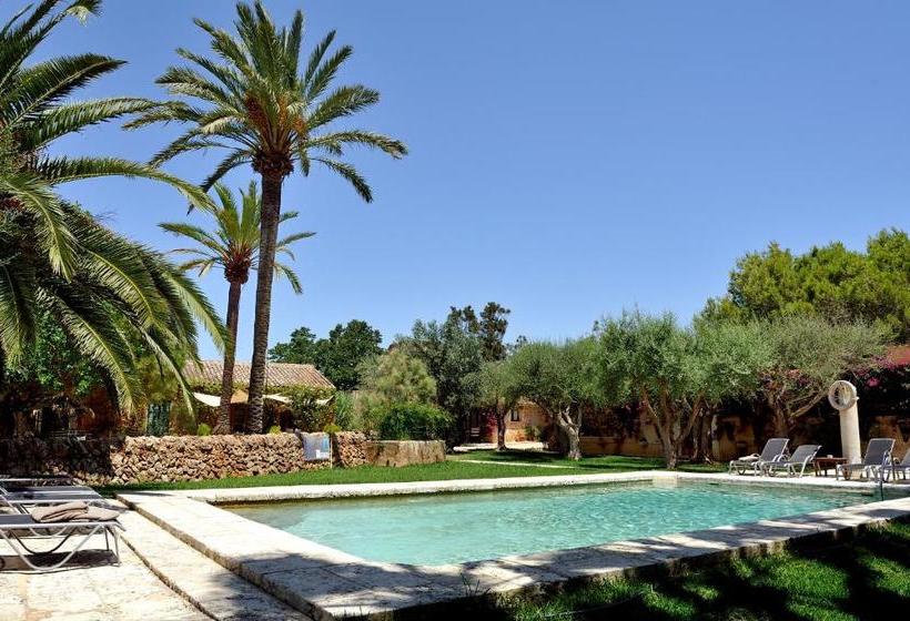 乡村酒店  Petit Hotel Es Figueral