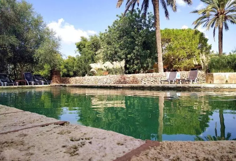 Сельский отель Petit Hotel Es Figueral