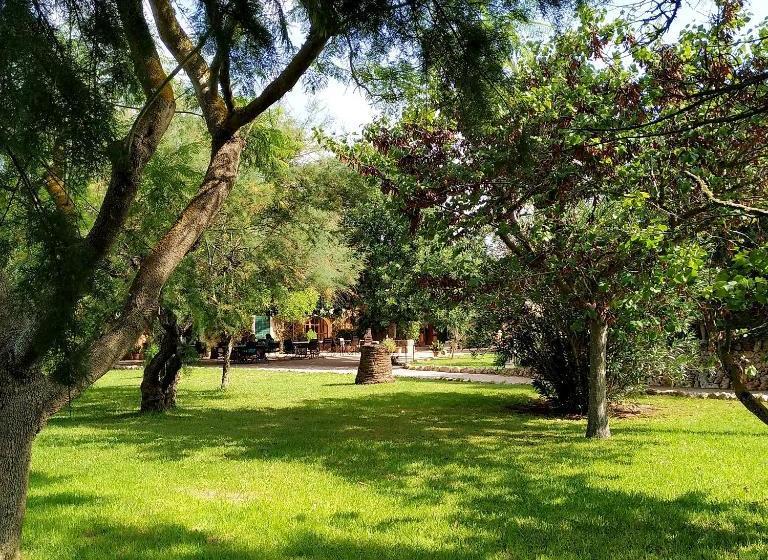 乡村酒店  Petit Hotel Es Figueral