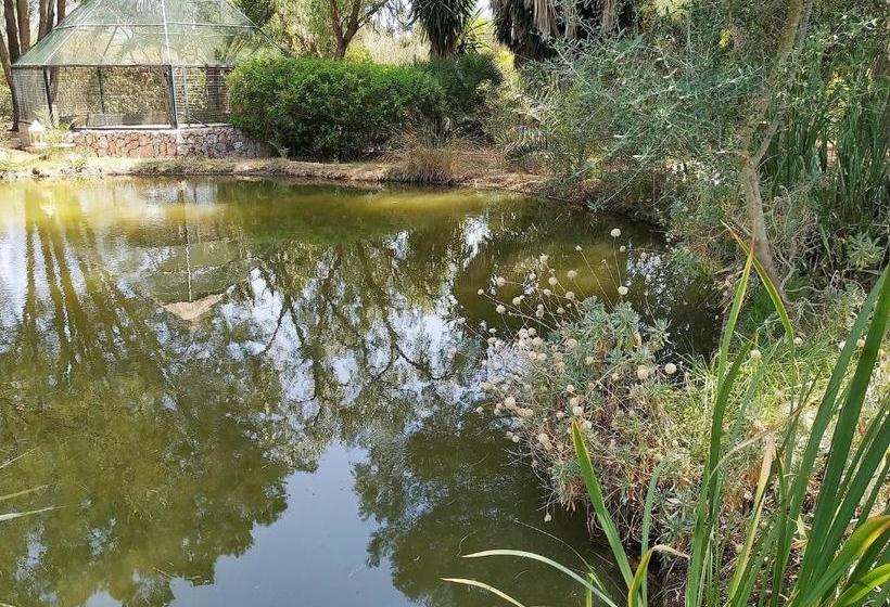 乡村酒店  Petit Hotel Es Figueral