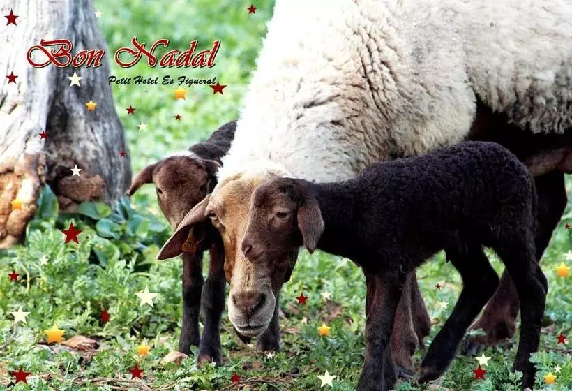 Сельский отель Petit Hotel Es Figueral