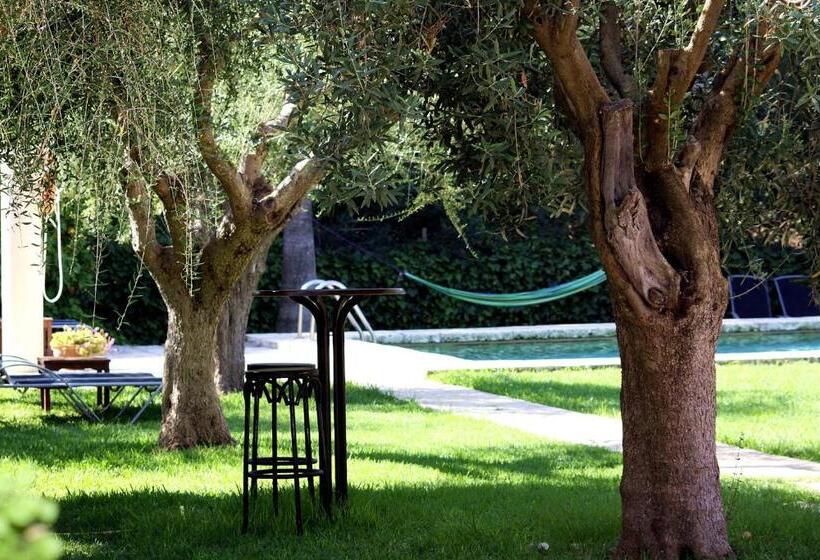 乡村酒店  Petit Hotel Es Figueral