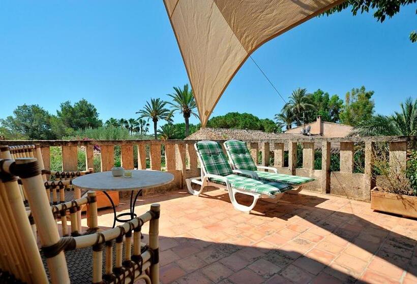 乡村酒店  Petit Hotel Es Figueral