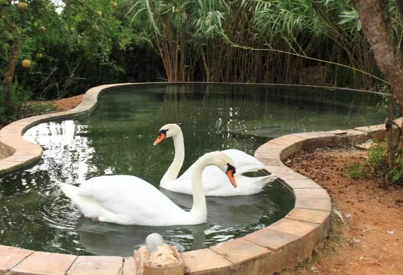 Сельский отель Petit Hotel Es Figueral