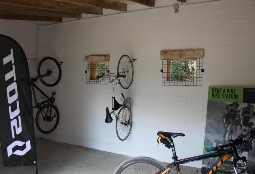 乡村酒店  Petit Hotel Es Figueral