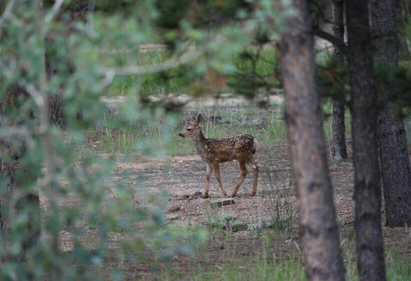 Bed and Breakfast Rampart Range Resort