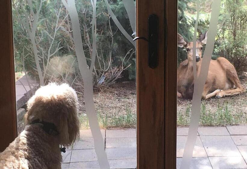 Bed and Breakfast Rampart Range Resort