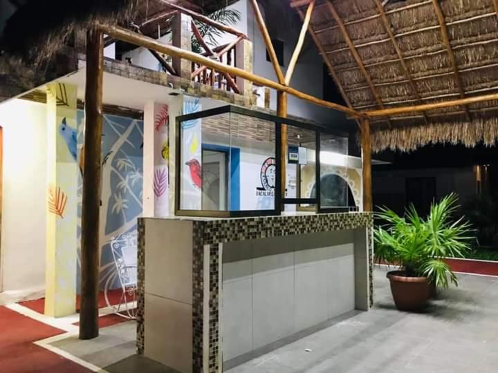 Szálloda Miriam Bacalar