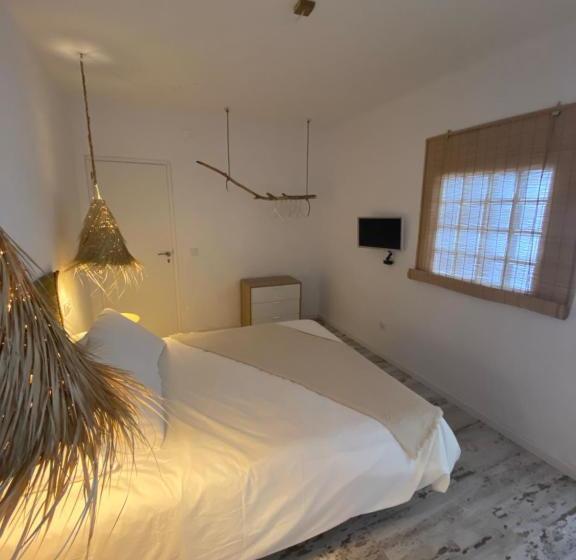 膳宿费 Alma Zahora