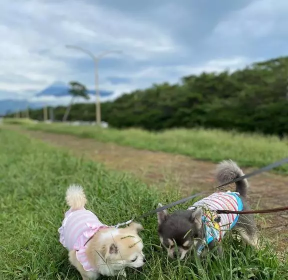 Retkeilymaja 沼津ライダーハウスしんちゃん