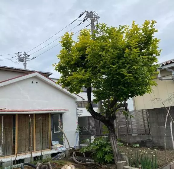 Retkeilymaja 沼津ライダーハウスしんちゃん