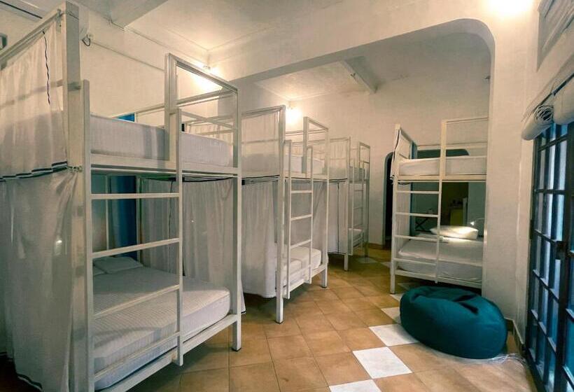 فندق صغير Lost & Found Colombo