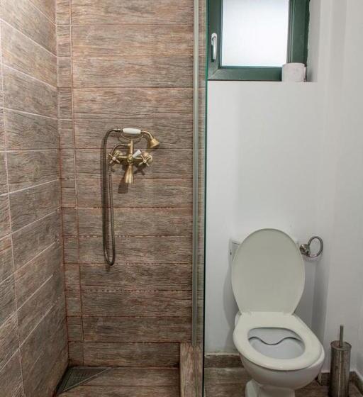 ベッドアンドブレックファースト Cununa Văilor