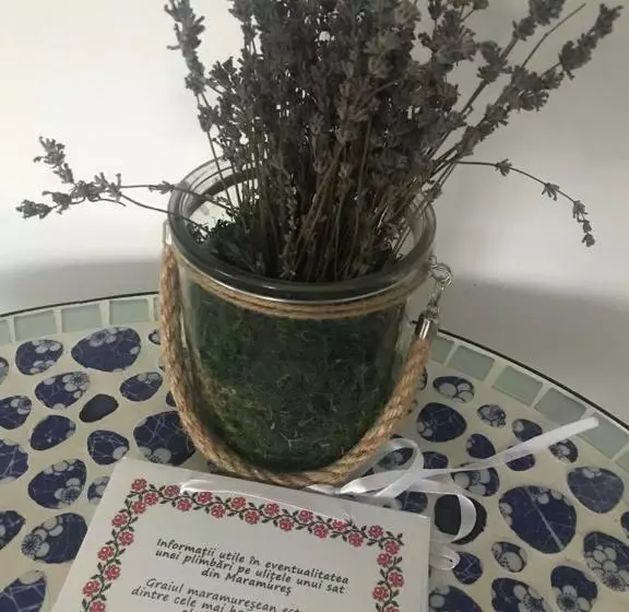 Bed and Breakfast Cununa Văilor