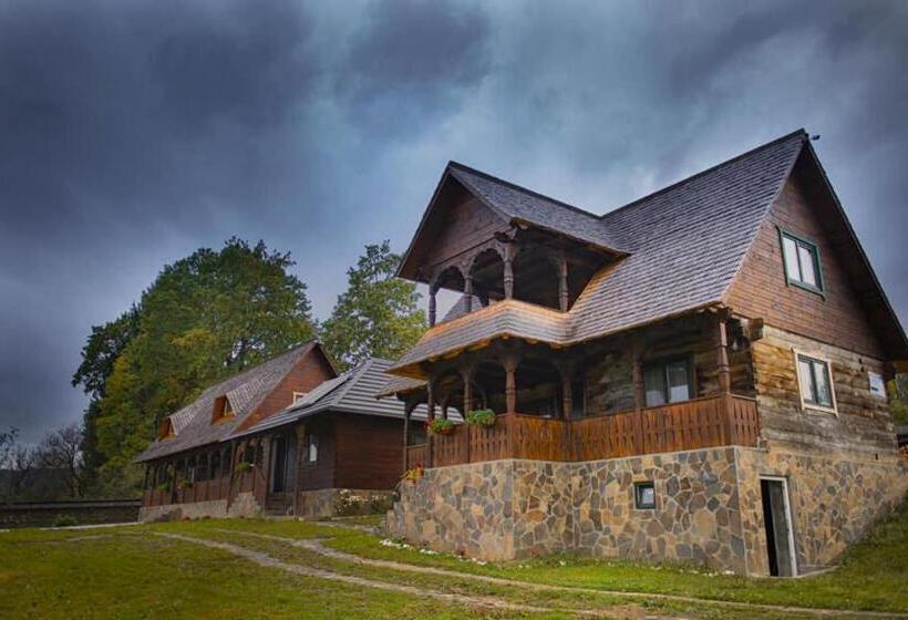 ベッドアンドブレックファースト Cununa Văilor