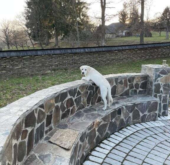 ベッドアンドブレックファースト Cununa Văilor