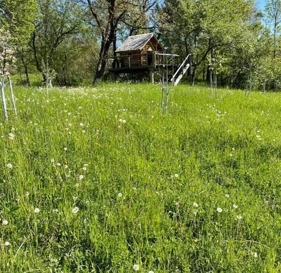 ベッドアンドブレックファースト Cununa Văilor