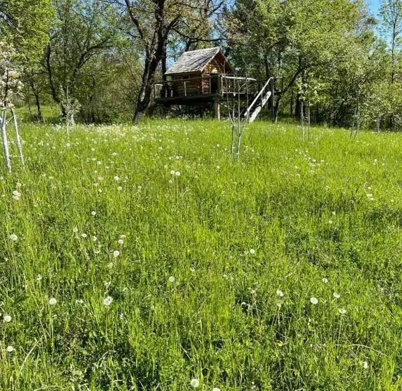 Bed and Breakfast Cununa Văilor