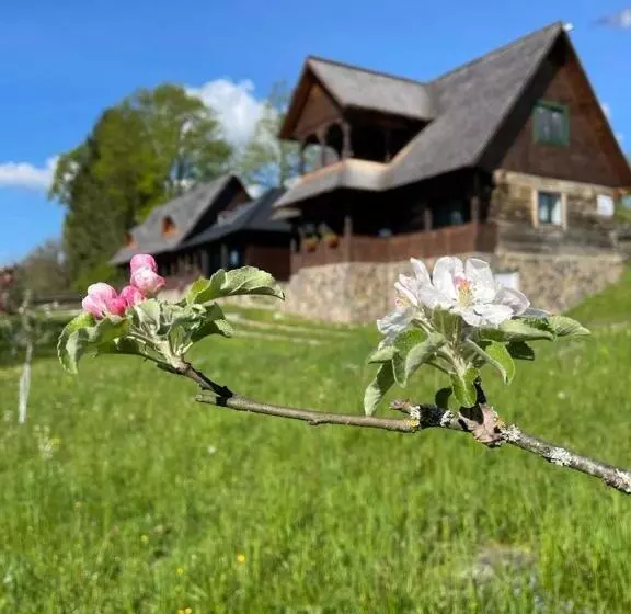 Bed and Breakfast Cununa Văilor