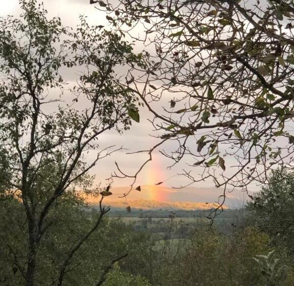 住宿加早餐  Cununa Văilor