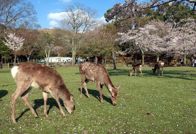 בית מלון כפרי Tenpyo Naramachi
